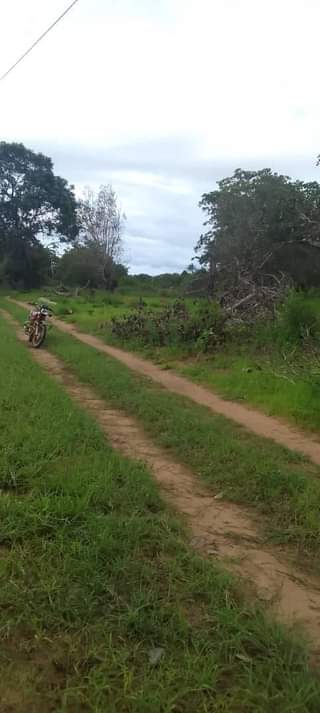 A picture of SHAMBA HEKA 6 LINA UZWA LIPO MZENGA MKOA WA PWANI