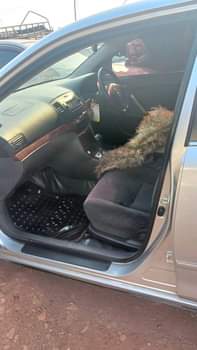 A picture of I need money 26m call whatapp me 0756077850