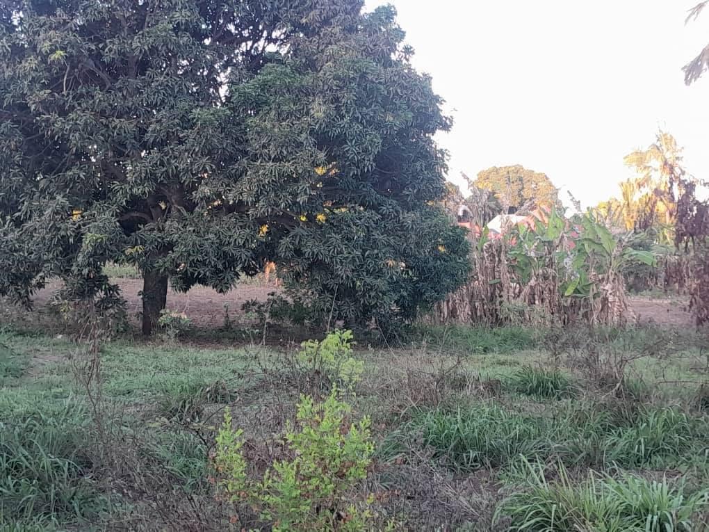 A picture of Petrol Station Plot for Sale