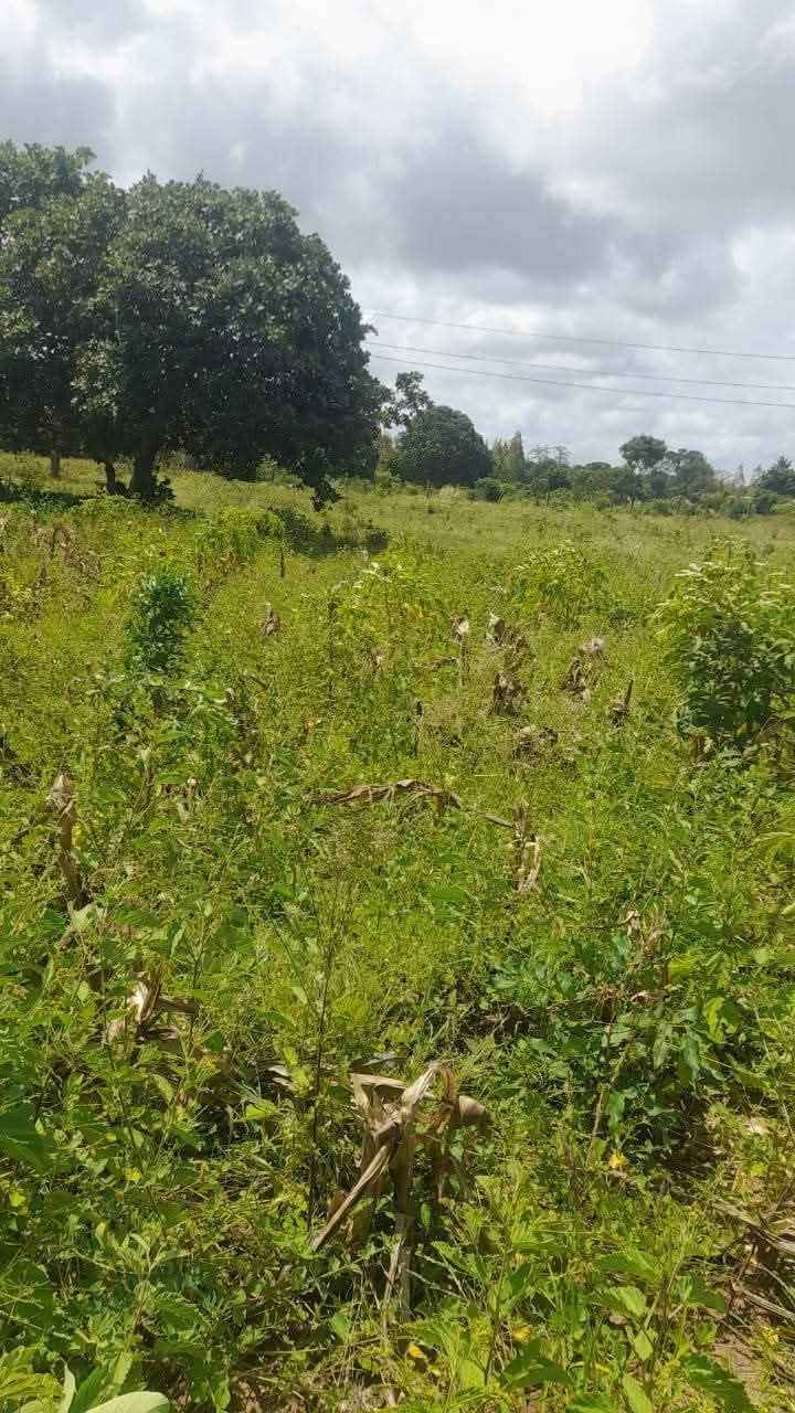 A picture of Cheapest lands and beach plots within MALINDI KILIFI COUNTY an