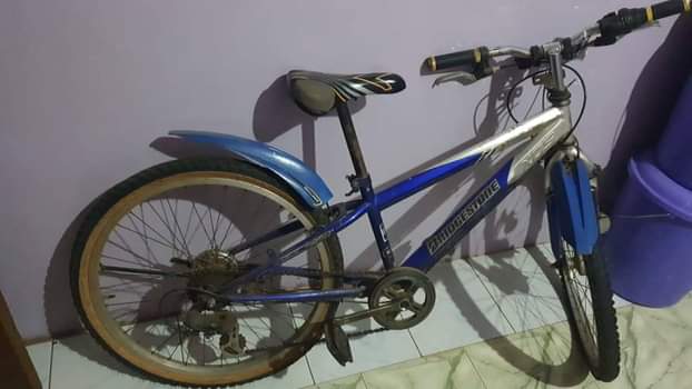 A picture of KIDS BICYCLE