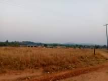 stands
