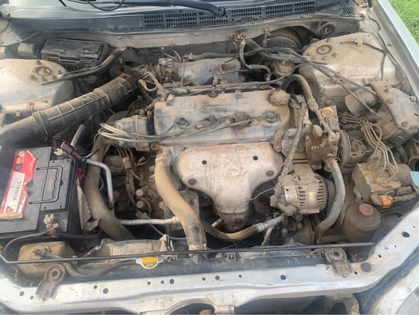 A picture of Honda accord AKA baby boy