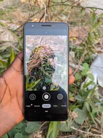 A picture of Google pixel 3a mpyaaa saan gb64 ram4 net4g 0686820249