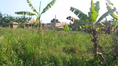 Ssempa P.