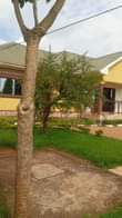 A picture of House for sale at 450m ush at Entebbe Town