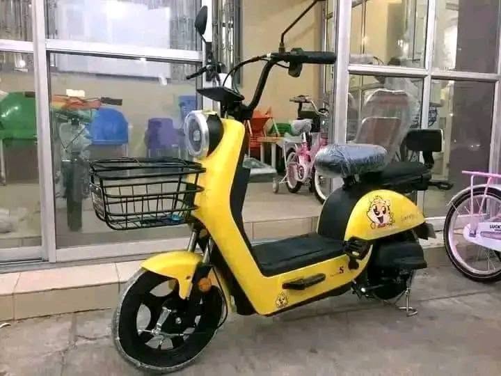 A picture of Electric bicycle for sale 09131132781