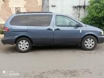 A picture of Sienna