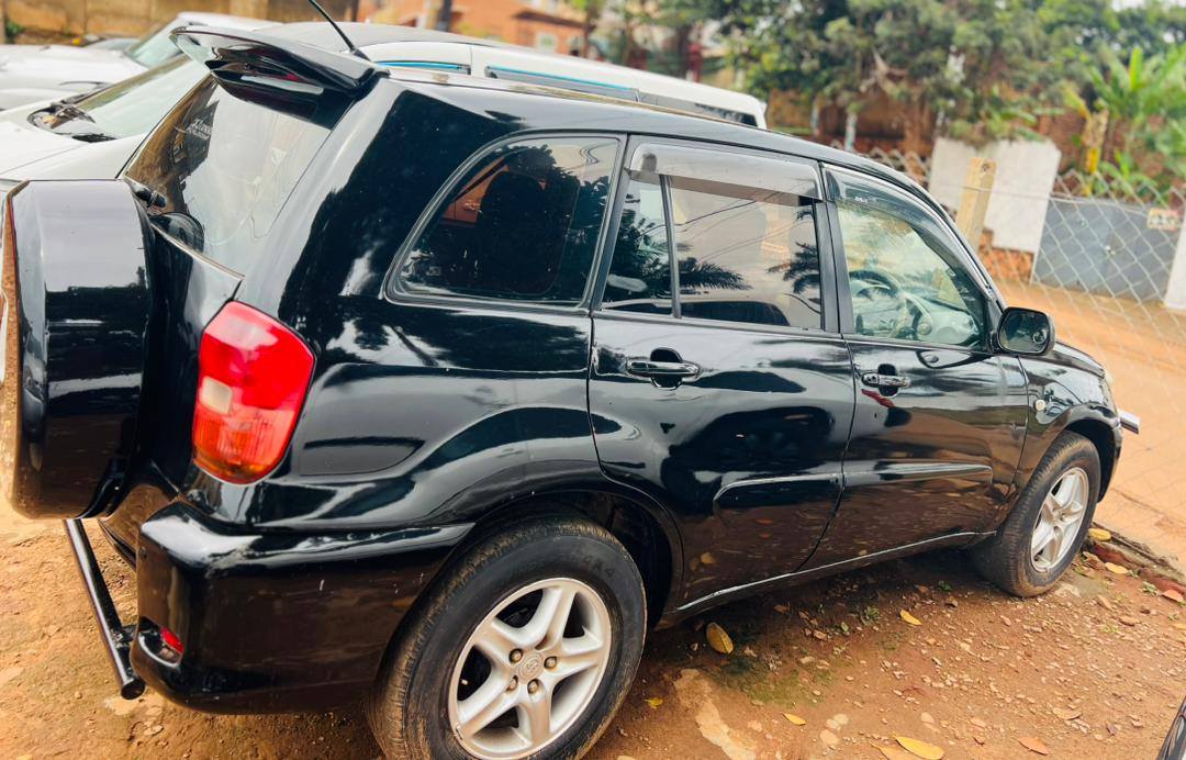 A picture of RAV4