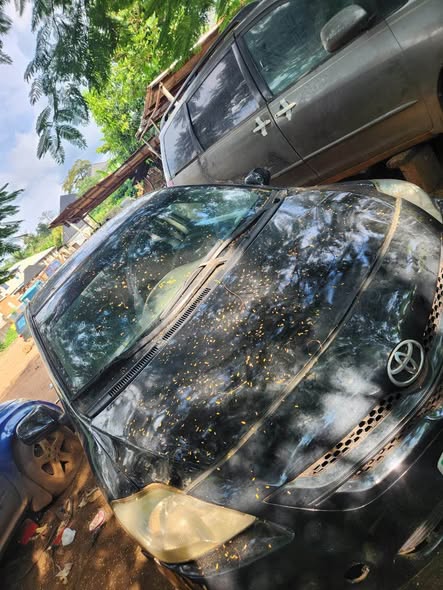 A picture of TOYOTA YARIS 2007