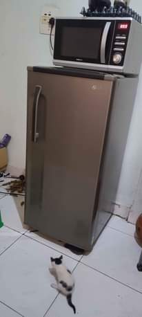 A picture of Lg fridge and freezer