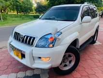 A picture of PRADO TX 120