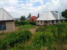 A picture of Mwanza Mkolani kiwanja kinauzwa