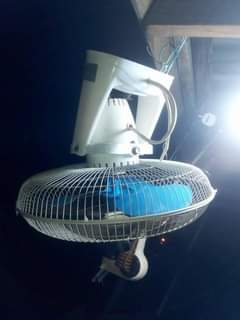 fans