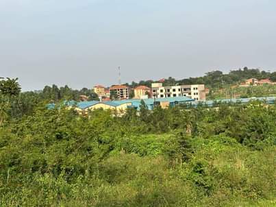 A picture of 13 Acres Private MAILO Land available on Sale at NAMUGONGO