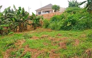 A picture of Plot