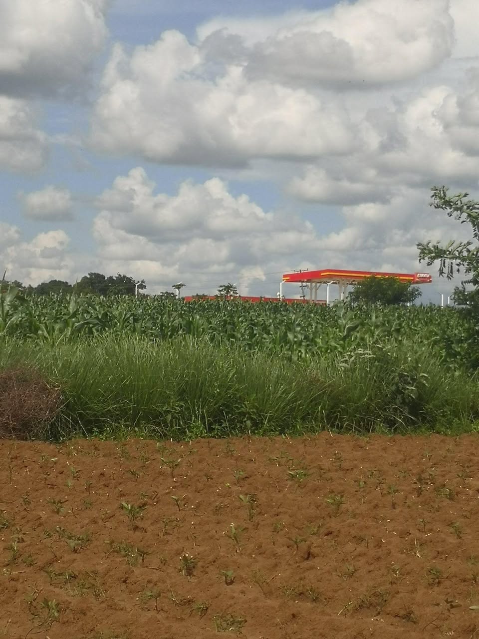 land