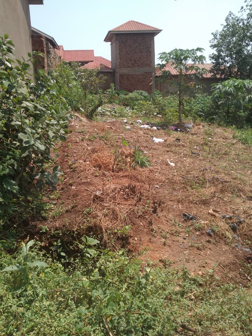 A picture of Plot kabaka land