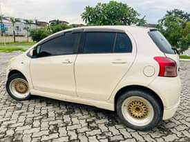 A picture of Vitz