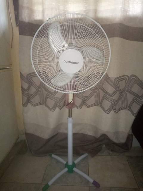 fans