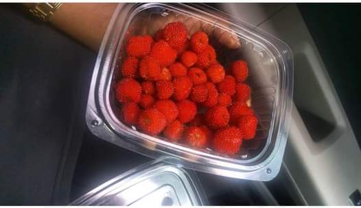 A picture of Berries strawberry mulberry raspberry blackberry cape goosberry