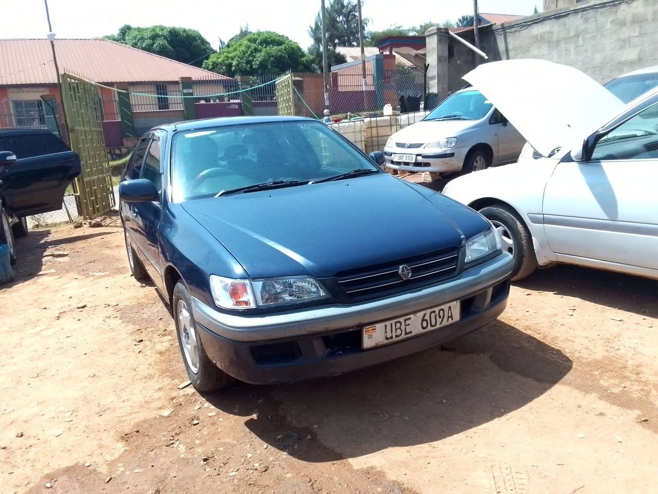 A picture of Premio