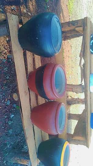 A picture of Flowers And Pots