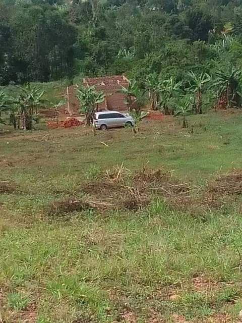 houses matugga
