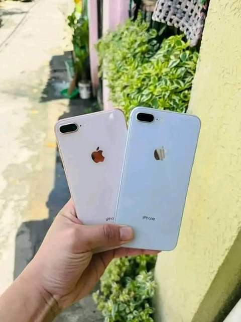Akshay D.