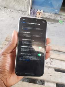 A picture of Iphone 11 plain