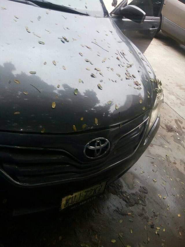 A picture of 2011 Toyota 2011