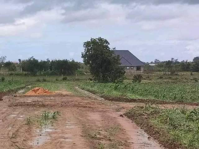 plots mariakani