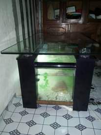 A picture of JUMBA LA KUFUGIA SAMAKI