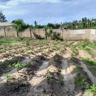 A picture of Kiwanja KINAUZWA