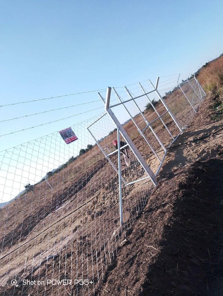 fencing