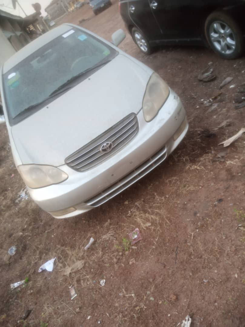 A picture of COROLLA