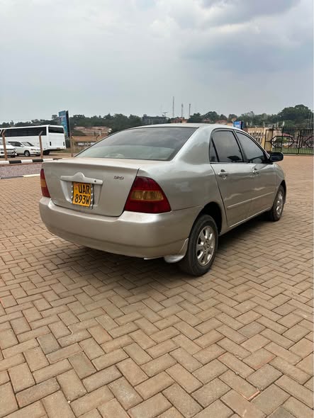 A picture of TOYOTA COROLLA