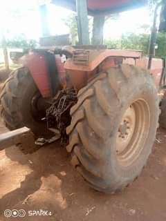 Rotich K.