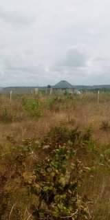 A picture of Kiwanja