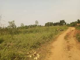 A picture of Quick sale 9m 100by100ft located at matugga kalasa along matugga