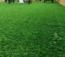 A picture of Artificial grass carpets available square meter 55k 0754140493