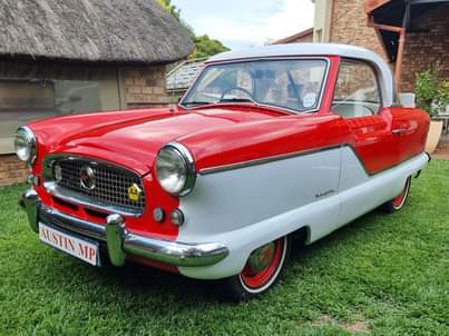 Classic,Muscle A.