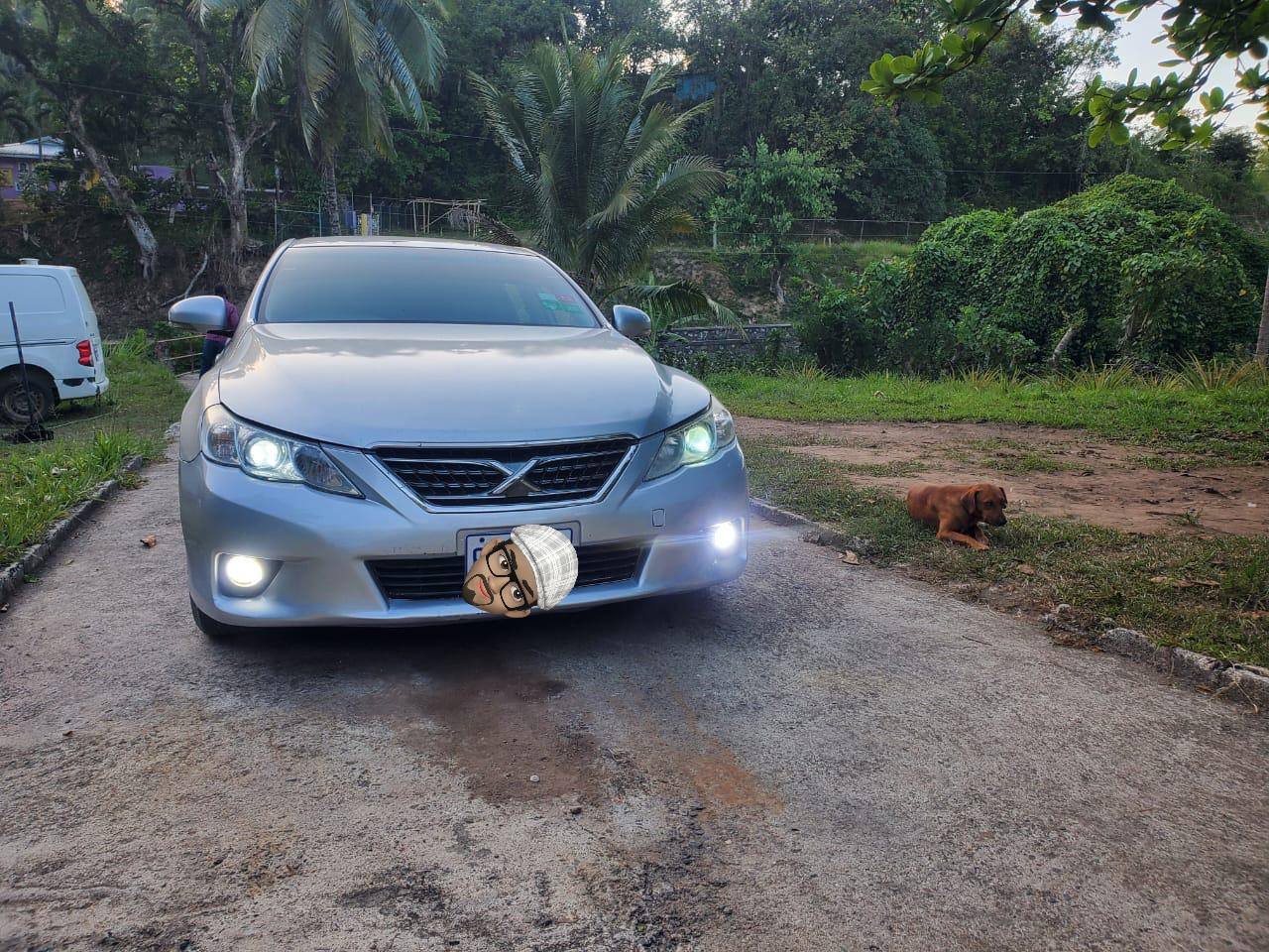 cars