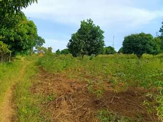 A picture of  1Arce for sale located at Nsanja Mukono katosi road