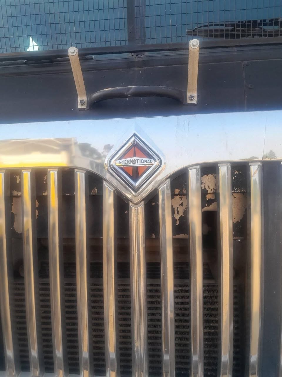 international eagle