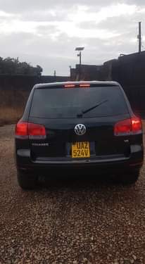 A picture of Touareg