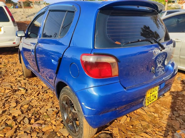 A picture of Vitz