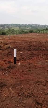 A picture of 50ft X 50ft Residential Plots available on Sale in a