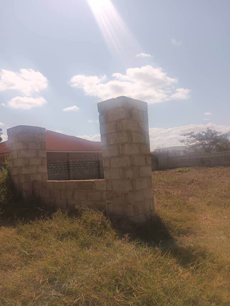 zambia plots