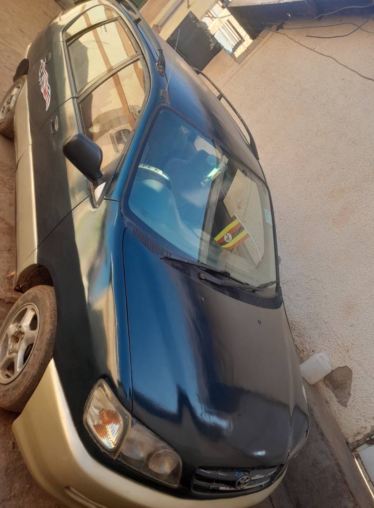A picture of Toyota Ipsum